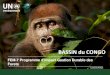 BASSIN du CONGO...Ce Programme d’Impact est bâtie autour d’un objectif qui vise a Maintenir l'intégrité écologique des écosystèmes du bassin du Congo en contribuant aux moyens