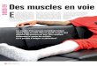DOSSIER Des muscles en voie E - Freerobin.candau.free.fr/SEV141_16_Atrophie.pdf · Par exemple, un plâtre qui ... nager. On fera ainsi l’impasse sur les exer-cices à base de courses