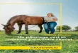 Horse Master - Un pâturage vert et robuste pour votre cheval - U… · Horse Master Hay : 60 kg par ha (ensemencement) / 30 kg par ha (sursemis). Profondeur de semis 1,0 - 1,5 cm