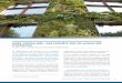 Murs végétalisés: une enquête sur les Modalités d’entretien€¦ · de ces jardins verticaux que sont les murs végétalisés sont souvent liées à des préoccupations d’image