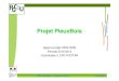 (06 RGCU PieuxBois presentation projet [Mode de ...c.f.m.s.free.fr/Manifestations/120125/06_PieuxBois_presentation_pro… · – Elaboration d’une méthode de dimensionnement directe