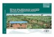Bilans des éléments nutritifs du sol à différentes échelles · 2017. 11. 28. · 5. Procédure pour la modélisation LAPSUS 101 6. Caractéristiques du sol - Classification FAO74