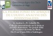 Ir. Andres L., Pr. Lebailly Ph. Colloque internationale sur le ... des...Les principaux pays producteurs : Dix pays selon la FAO; Cas Guinée: Fouta Djallon & Haut plateau 0 50000