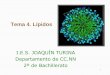 Tema 4. Lípidos · 2018. 11. 14. · Importantes para la síntesis de prostaglandinas, de acción reguladora en el organismo Linoleico y linolénico son de origen vegetal Araquidónico