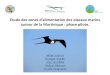 Etude des zones d’alimentation des oiseaux marins autour de la …oiseaux-marins.org/upload/iedit/1/actualites/Colloque/... · 2019. 6. 13. · Objectifs • Recherche des zones