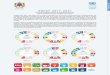 UNDAF 2017-2021...L’UNDAF 2017-2021 a été élaboré d’une manière participative sur la base des priorités nationales de développement, des avantages comparatifs du Système