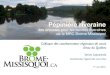 des arbustes pour les bandes riveraines de la MRC Brome …agrcq.ca/wp-content/uploads/2012/09/Pepiniere-riveraine... · 2012. 9. 10. · Revégétaliser des berges des cours d’eau