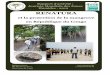 Rapport d'activit s JMZH 2012 Vthib - Ramsar...Rapport d’activité : Journée Mondiale des Zones Humides - 2012 RENATURA et la protection de la mangrove en République du Congo Rénatura
