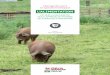 L’ALIMENTATION · 2019. 11. 4. · L’alimentation des porcins en AB est régie par deux principes de base: • privilégier les matières premières agricoles pro-venant de l’exploitation