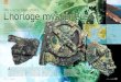 Mécanisme d’Anticythère · 2019. 12. 23. · Astrolabe, horloge astronomique, calendrier ? Quoi qu’il en soit, le mécanisme trouvé dans une épave romaine du ier siècle av