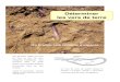 Déterminer les vers de terre...de terre au sein de leurs catégories écologiques, vous trouverez dans ce guide illustré, les principales espèces rencontrées dans les sols français