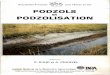 Podzols et podzolisation - Institut de recherche pour le ...horizon.documentation.ird.fr/exl-doc/pleins_textes/... · satton et genèse Tropical podzols on Bateke sands in R.P. of