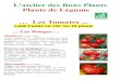 L'atelier des Bons Plants Plants de Légume … Les Tomates · 2020. 3. 22. · salade, en conserve ou confite. L'unique de couleur verte zébrée à maturité! Mi-saison …. Les