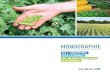 Monographie de l'industrie des légumes de transformation au … · 2019. 6. 12. · Volume de la production de pois, de haricot, de maïs sucré et de concombre de transformation