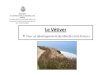 Le VETIVER - new 98 · 2015. 8. 8. · Microsoft PowerPoint - Le VETIVER - new 98.pptx Author: phil Created Date: 5/24/2011 10:35:23 AM 