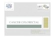Cancer colorectalifsidijon.info/v2/wp-content/uploads/2017/12/Microsoft... · 2017. 12. 8. · DU POLYPE BÉNIN AU CANCER • 80 % des cancers recto-coliques se développent à partir