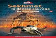 Sauvage 3 - Sekhmet, la déesse sauvage · 2018. 4. 13. · Catalogage avant publication de Bibliothèque et Archives Canada Gravel, François Sekhmet, la déesse sauvage (Titan;