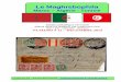 Le Maghrebophila 2015.pdfVilles et Tribus du Maroc. Documents et Renseignements, publié par la Direction des Affaires Indigènes et du Service du Renseignement (section sociologique)