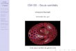 CM-S5 : Sous-variétésmath.univ-lyon1.fr/homes-www/borrelli/Espace_etudiant/... · 2018. 11. 27. · CM-S5 : Sous-variétés V. Borrelli Sous-variétés Architecture et sous-variétés