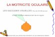 LA MOTRICITE OCULAIRE - DYSLEXIE 06dyslexie06.fr/uploads/1/9/4/5/19451205/orthoptie_pour... · 2019. 4. 8. · FROSTIG : capacité de reproduire des axes horizontaux, verticaux et