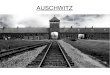 AUSCHWITZ - histgeopremière S · 2017. 12. 18. · OSWIECIM d DAW) O 'pat Buna Auschwitz LES CAM's . S.S. (Bir.onau' • Harmonse Ville d' OSWIECIM d DAW) O 'pat Buna Auschwitz LES