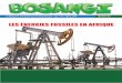 LES ÉNERGIES FOSSILES EN AFRIQUE · PDF file 2018. 1. 15. · 4 BOSANGI - Le magazine trimestriel de l’environnement - Jan - Fév - Mars.2018 / N°53 Des coalitions pour la sortie