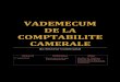VADEMECUM DE LA COMPTABILITE CAMERALE€¦ · DE LA COMPTABILITE CAMERALE du Secteur Communal Version du Modifications Auteur 1er ... A partir du 01.01.2013, une nouvelle structure