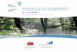 Forêt...(CRPF). AdCC & Forêt – Dossier thématique Page 5 c. Associé à un tissu d’entreprises et d’emplois En Bourgogne, la filière bois au sens large emploie entre 14 500