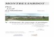 MONTBELIARDOTstatic.reseaudesintercoms.fr/.../hbed8y2q039davg.pdf · 2019. 10. 15. · MONTBELIARDOT Plan Local d'Urbanisme Élaboration initiale V -Eléments du paysage à protéger