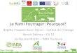 Le Rami Fourrager: Pourquoi?idele.fr/fileadmin/medias/Documents/Rami_fourrager.pdf · 2013. 10. 5. · Le Rami : différents publics cibles et différents formats d’utilisation
