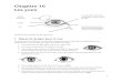 Chapitre 16 Les yeux - Dokotoro Project · 2016. 4. 12. · Chapitre 16 Les yeux glande lacrymale la conjonctive est la fine couche qui couvre le blanc de l’œil pupille iris la