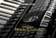 PRESTIGE - AccordionHouse...Emotions and Accordions since 1982 Beltuna represents an international brand-name par excellence for the design and production of accordions. A success