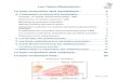Les tissus musculaires - Medibox quad/UE2/Histologie... · 2019. 10. 24. · Les Tissus Musculaires : Le tissu musculaire strié squelettique : 2 A- L’organisation du muscle strié