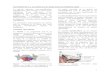 EXCISION DE LA GLANDE SALIVAIRE SOUS-MANDIBULAIREcampus.cerimes.fr/orl/cycle3/sous-maxillectomie.pdf · 2016. 3. 22. · fascia cervical profond. Le . muscle digastrique. forme les