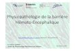 Physiopathologie de la barrière Hémato Encéphaliqueduprat/documents/cours_bhe_2009.pdf · 2009. 12. 15. · STRUCTURE DES VAISSEAUX Physiopathologie de la Barrière Hémato Encéphalique,