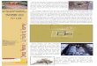 (JOURNAL BIBRACTE N 128.pub) · 2018. 1. 26. · Lettre d’information du chantier d’insertion DECEMBRE 2017 JANVIER 2018 N°128 Contact : TREMPLIN Homme et Patrimoine Maison Tiger