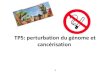 TP5: perturbation du génome et cancérisationlasourisverte.weebly.com/uploads/2/1/1/0/21100146/tp... · 2018. 9. 9. · TP5: perturbation du génome et cancérisation Author: Util