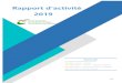 Rapport d’activité - CDG63 · 2020. 7. 15. · 1/35 Rapport d’activité 2019 Sommaire 2 / Direction générale des services 14 / Pôle carrières - retraites 17 / Pôle emploi