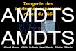 Imagerie des AMDTS syndromes canalaires rares du MS AMDTSamdts.free.fr/pps/2013/Imagerie.pdf4. nerf ulnaire au canal de Guyon . AMDTS AMDTS. Le nerf médian est le nerf mixte de la