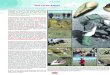 Une sortie Estranfnppsf.fr/peche-plaisance/ppn35une-sortie-estran.pdf · 2012. 10. 2. · Une sortie Estran La Bernerie en Retz (44), mardi 17 juillet vers 10 heures, coefficient