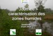 Journée caractérisation des zones humides · 2021. 1. 29. · horizon E (lessivé) ni BT (accumulation) ... sombre, formé par l'action principale des vers de terre sous un climat