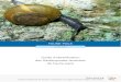 Guide d’identification des Gastéropodes terrestres de Faune-paca · 2021. 1. 18. · Guide d’identification des Gastéropodes terrestres de Faune-paca | 3 Résumé L’étude