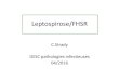 Leptospirose/FHSR - Infectiologie ... Signes biologiques Signes biologiques m Leptospirose FHSR p Leucocytose