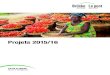 Projets 2015/16 - Le pont · améliorer les filières manioc et tomates. Le manioc, par exemple, est transformé en gari et en tapioca de haute qualité et se vend jusqu’au Bénin