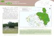 K13 Corse orientale - INVENTAIRE FORESTIERinventaire-forestier.ign.fr/IMG/pdf/K_13.pdf · 2017. 6. 20. · Solenzara, est en fait la seule véri-table plaine de l’île. Bordée
