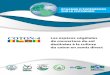 Entreprise Brésilienne de Recherche Agricole Secrétariat ......54 p. : ill. color. ; 16 cm x 22 cm. . – (Échange d´expériences sur le cotonnier). ISBN 978-85-7035-190-6 