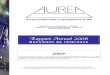 Rapport Annuel 2008 - Aurea · 2016. 6. 22. · comptes de l'exercice clos le 31/12/2008. 1.2.2. Commissaires aux comptes suppléants • La société AUDITEC – 104, rue Réaumur