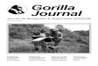 Gorilla Journal...bitués, un programme de santé des employés du parc a été implémenté en 2000 par le personnel et le Comité scientiﬁ que du MGVP, en collaboration avec d’autres