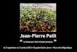 Jean-Pierre Petit - Arles kiosque · 2013. 1. 24. · Jean-Pierre Petit se cabrer, se rebiffer comme si l’on ne pouvait pas être simplement un peintre né à Arles. Et pourtant,