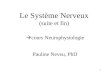 Le Système Nerveux - Freedrpneveu.free.fr/images/DUPNeveuSN02.pdf · trou de Monro. 20 5-Organisation macroscopique 5.2-Le SNC 5.2.3-L’encéphale Les méninges et le LCR (liquide